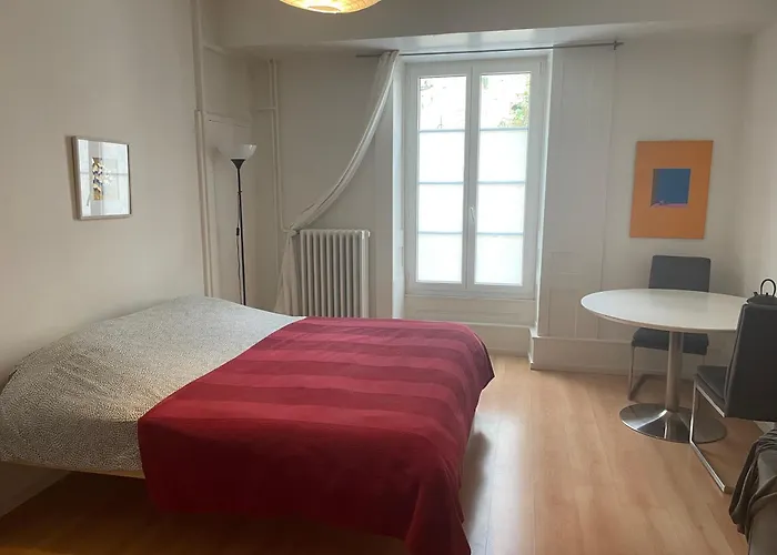 Vaste Chambre Au Centre Ville, A 2 Minutes Du Lac